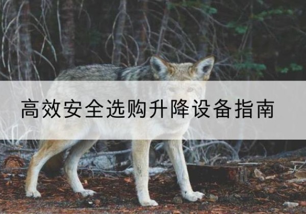 淇县升降货梯厂家推荐-*安全选购升降设备指南