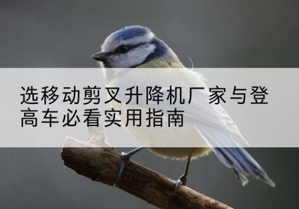 淇县电动升降机厂家-选移动剪叉升降机厂家与登高车必看实用指南