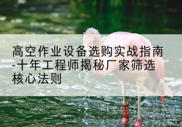 淇县剪叉式升降机厂家-高空作业设备选购实战指南-十年工程师揭秘厂家筛选核心法则